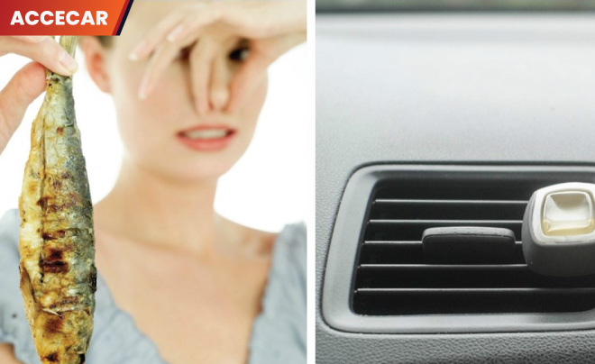 cách khử mùi hải sản trên xe ô tô
