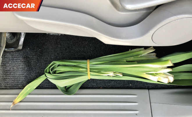 cách khử mùi hải sản trên xe ô tô